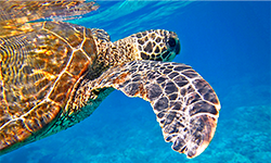 お申し込み後の流れ